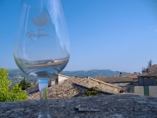 Tour 6 - Wine Fete day in Rasteau